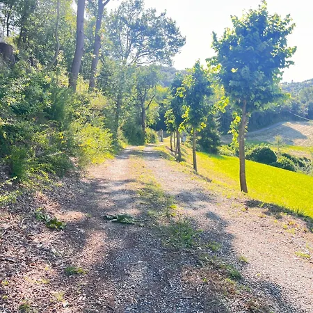 Tenuta San Lorenzo * Melazzo